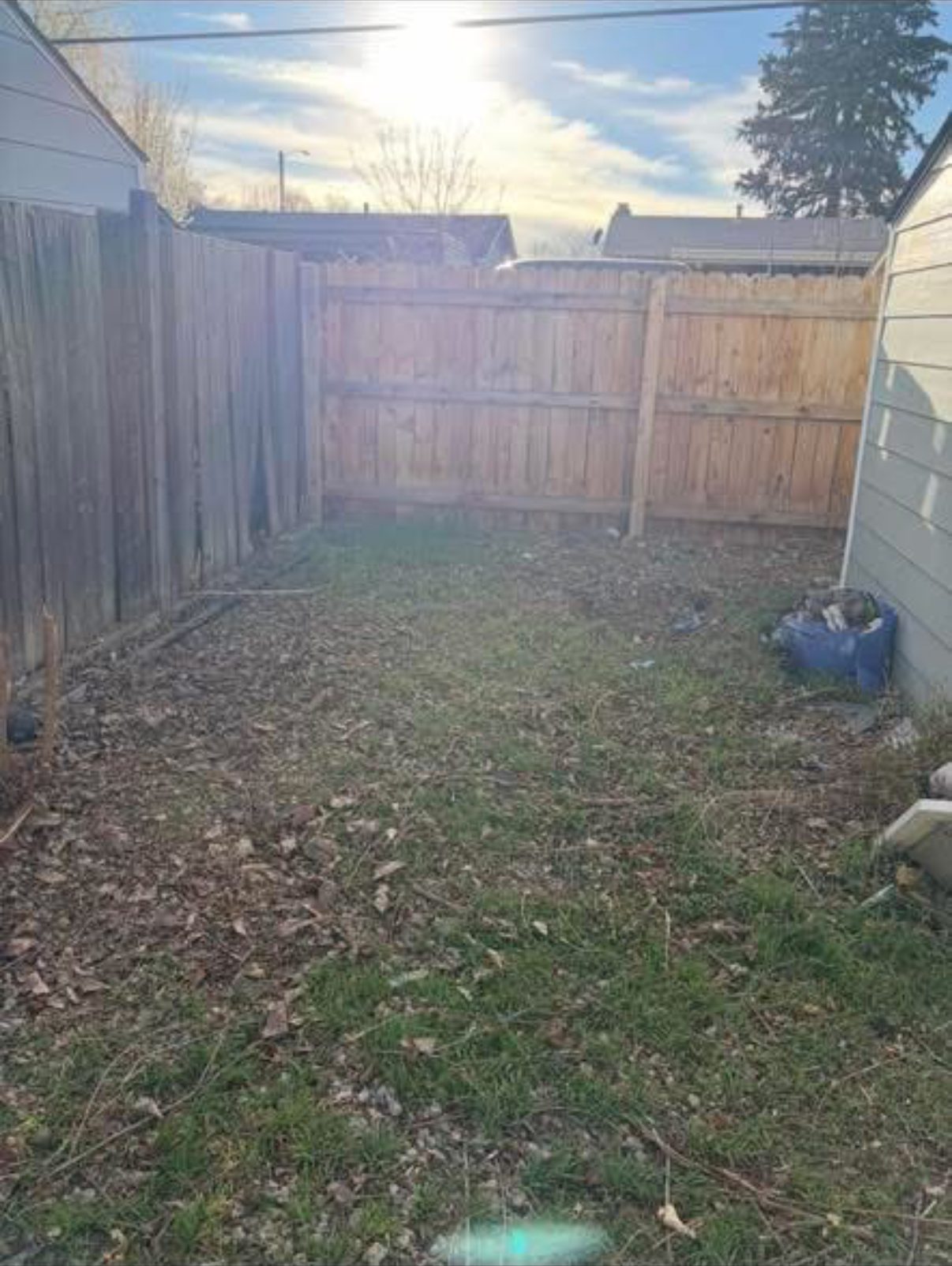 After — Backyard brush pile — cleared and hauled away